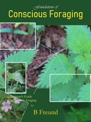 cover image of Foundations of Conscious Foraging